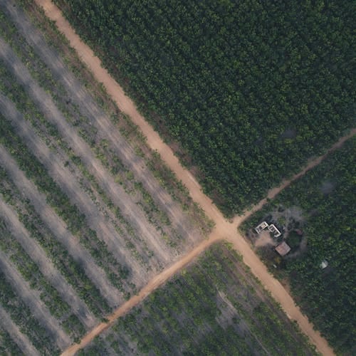 Nông thôn Việt Nam - Chương trình hỗ trợ tài chính phát triển nông nghiệp